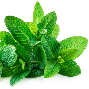 LorAnn Super Strength aroma- Menta 3,7 ml