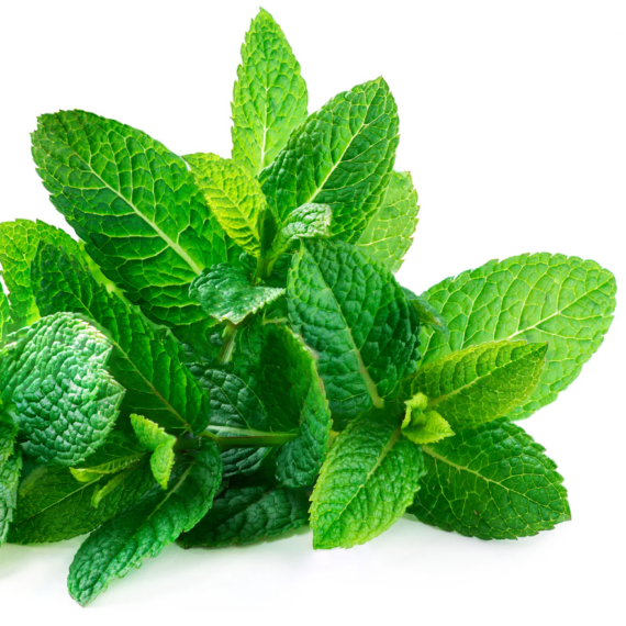 LorAnn Super Strength aroma- Menta 3,7 ml