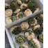 Funcakes muffinpapír 48db - Levélzöld